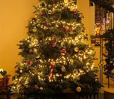 FIREFESTA – 1000/1500 LED Kerst Firecracker Slinger Verlichting