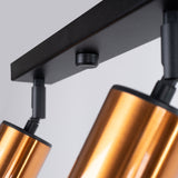 a58feea5420af8e6df7cdd2331f9a066