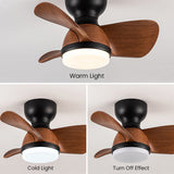 Eenvoudige Stijlvolle Plafondventilator Met LED Verlichting