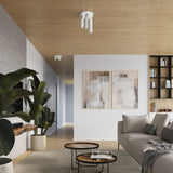 18e970e41a77968c2ce911034a8096e0