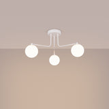 237ba5b5f20c19e4dc888bb52e52aac7