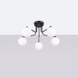 1cdb6d4be313f17b5c4f374a02069ff6