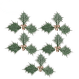 LumiBerry 2M LED Kerstguirlande