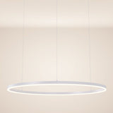 Skapetze - Ring 100 LED Hanglamp Direct 5m