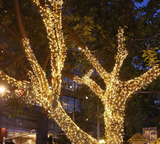 LumiFest LED Kerstverlichting – 10M / 50M / 100M