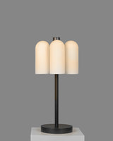 Schwung Lighting - Odyssey Table Lamp 6