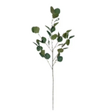 StarryDreams – Sfeervolle Olijftak verlichting