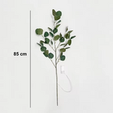 StarryDreams – Sfeervolle Olijftak verlichting