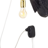 Jasmin Djerzic - Vliegende Hollander