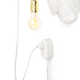 Jasmin Djerzic - Vliegende Hollander