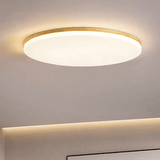 Enkele Ronde Led Plafondlamp In Acryl