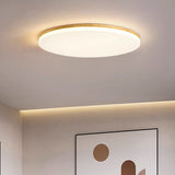 Enkele Ronde Led Plafondlamp In Acryl