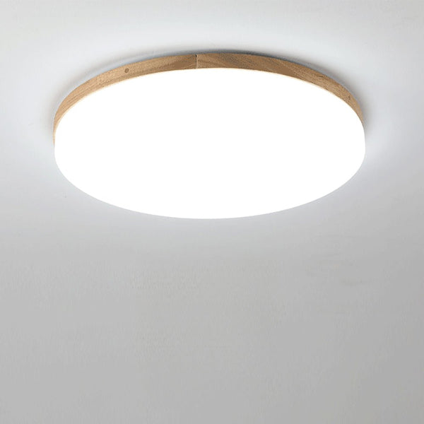 Enkele Ronde Led Plafondlamp In Acryl