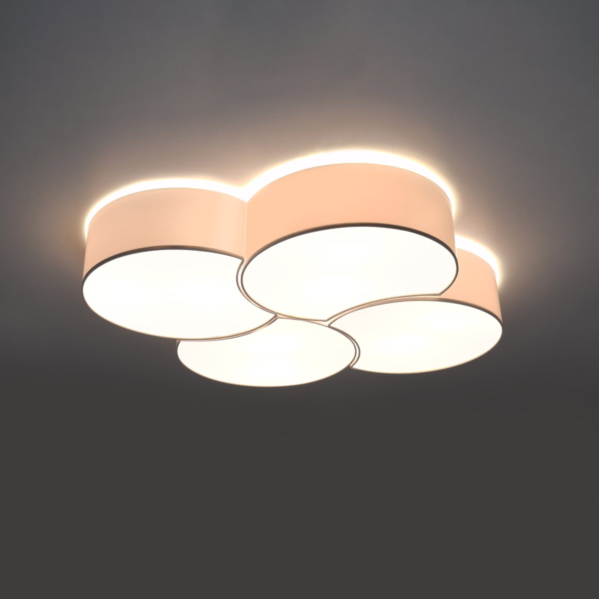 Lightinup SRL - Circle 4 Plafondlamp Wit - plafondlamp - detail
