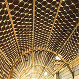 LumiGrid Net LED String Lights