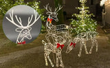 LumiRein LED Rendier Familie