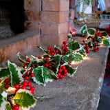 LumiBerry 2M LED Kerstguirlande