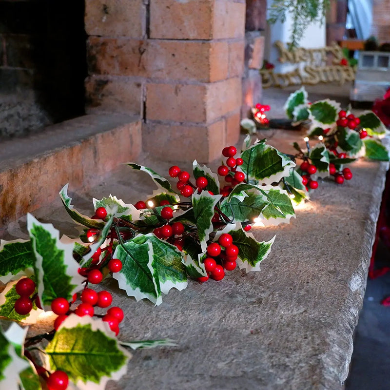 LumiBerry 2M LED Kerstguirlande