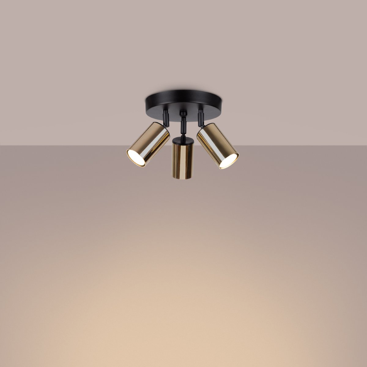 Lightinup SRL - Winx 3P Zwart/Gouden Plafondlamp