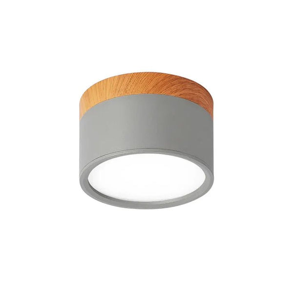 Nordic Cilinder Led Plafondlampen Voor Gangen - plafondlamp